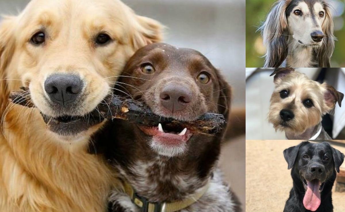 Приколы про семейную жизнь