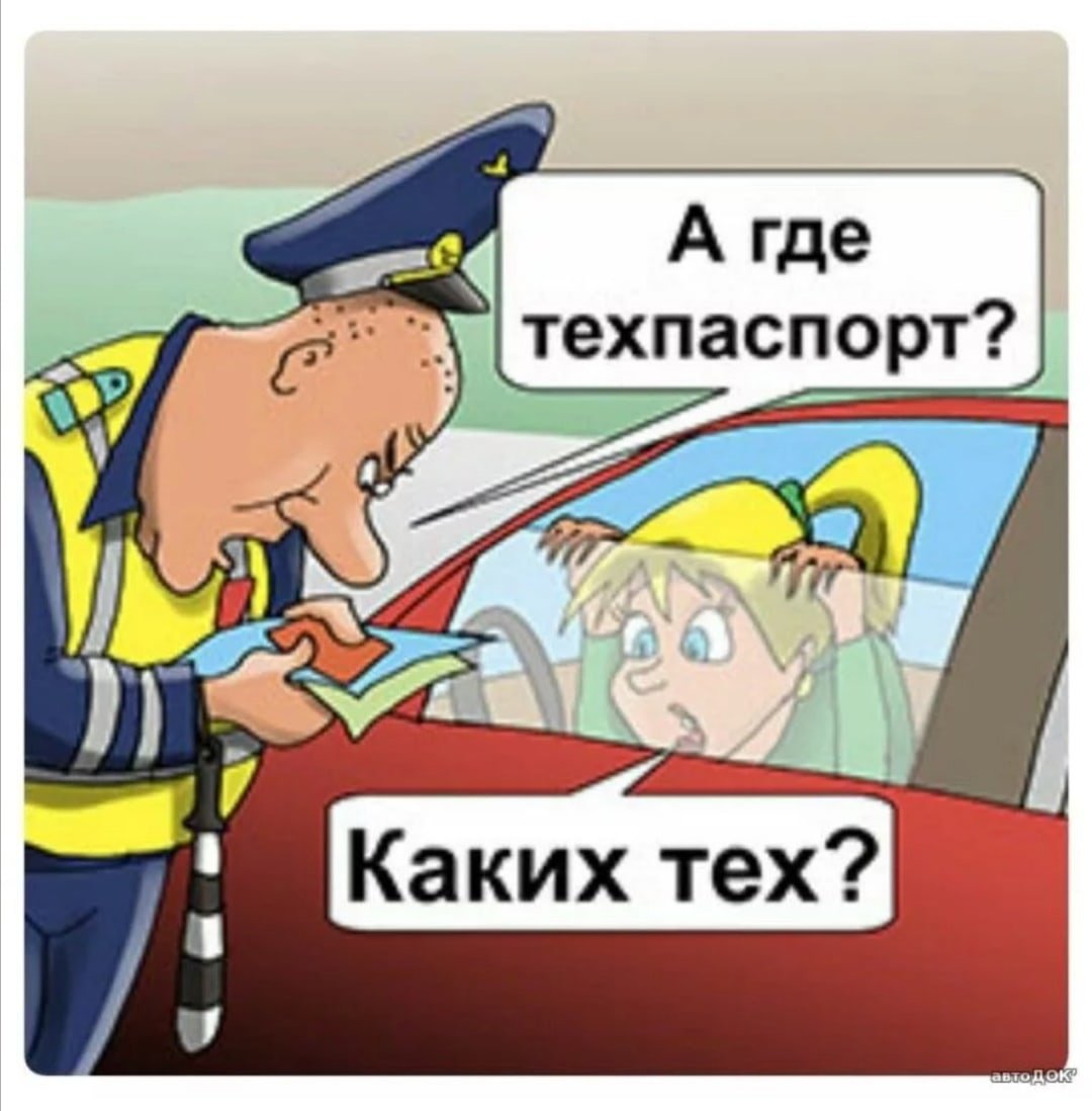 Девушка гаишник