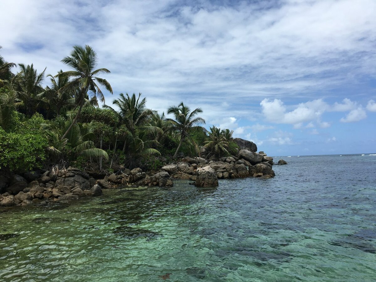 Остров серф Сейшелы