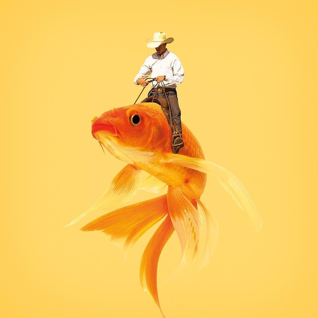 Фотоманипуляции Хосе Наварро