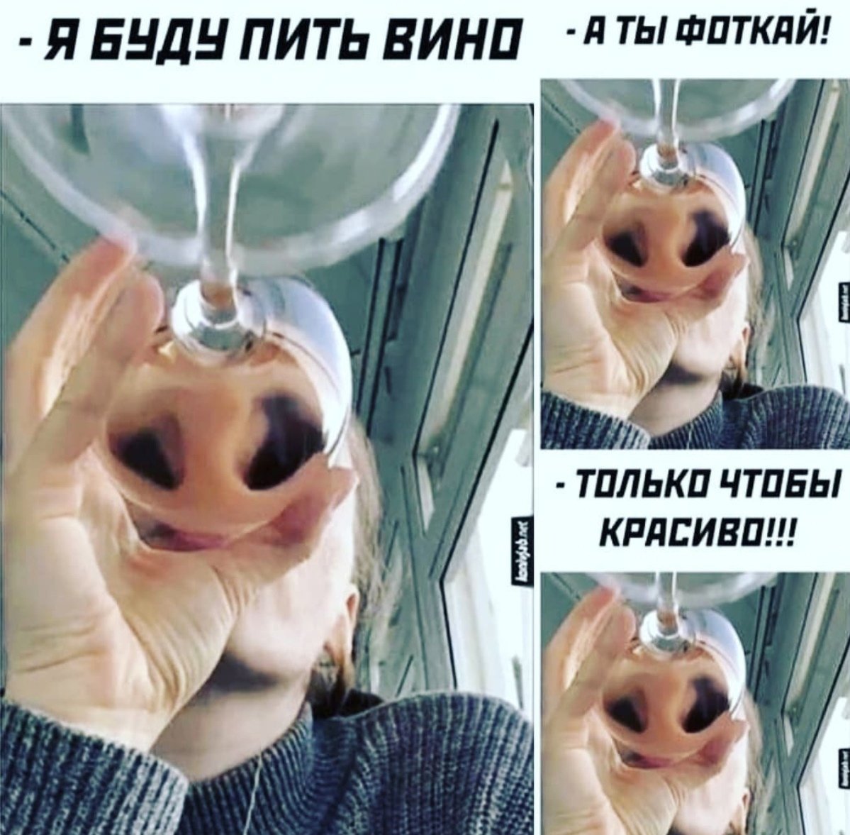 Мемы шуточки