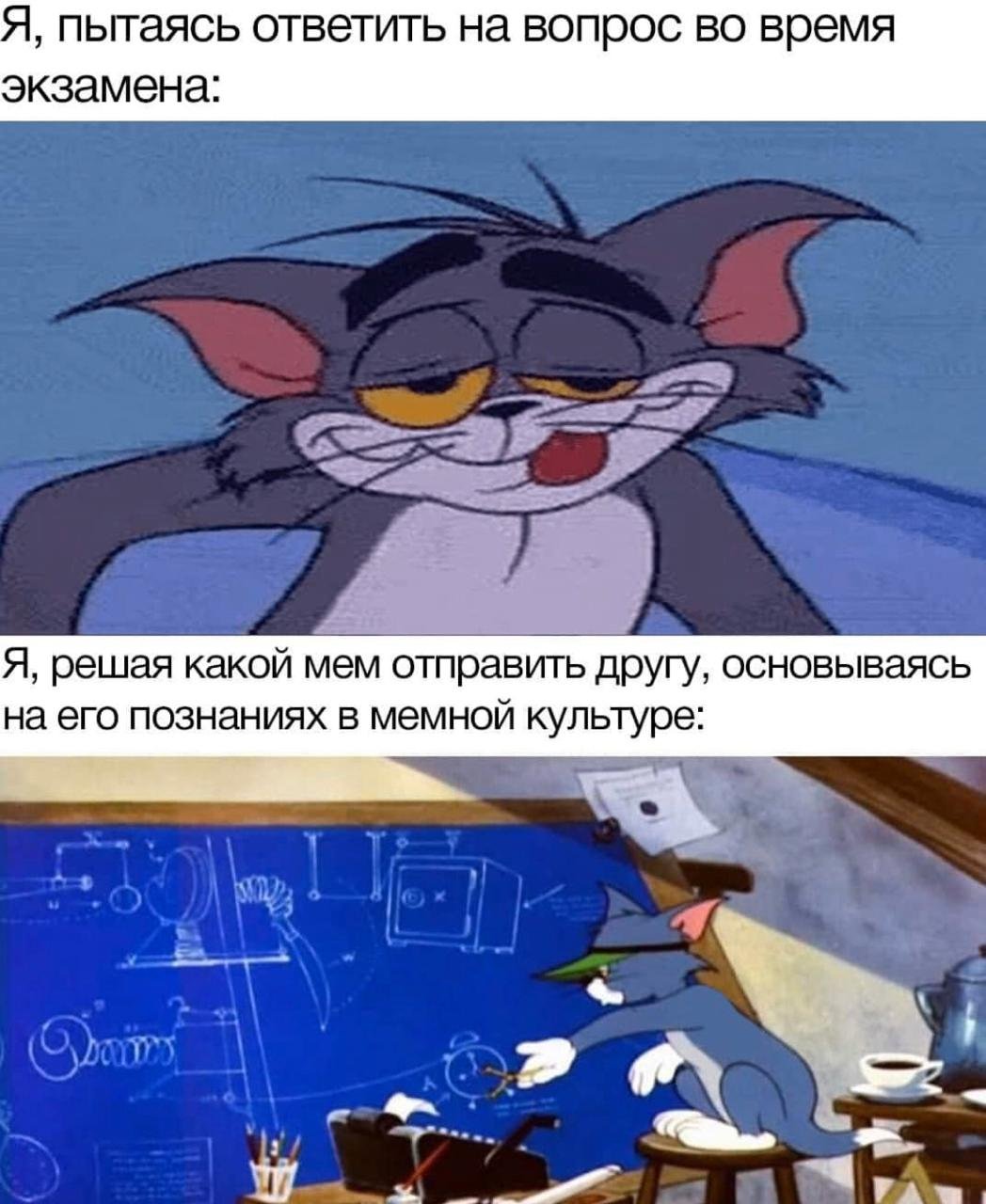 Смешные мемы про сессию