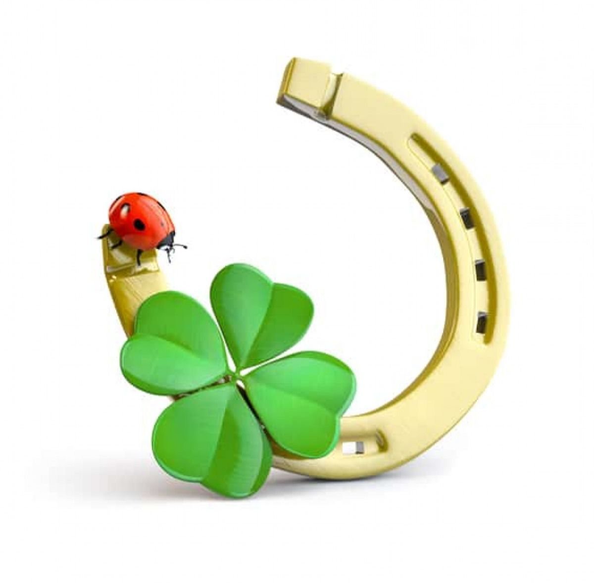 Клевер четырехлистный Божья коровка