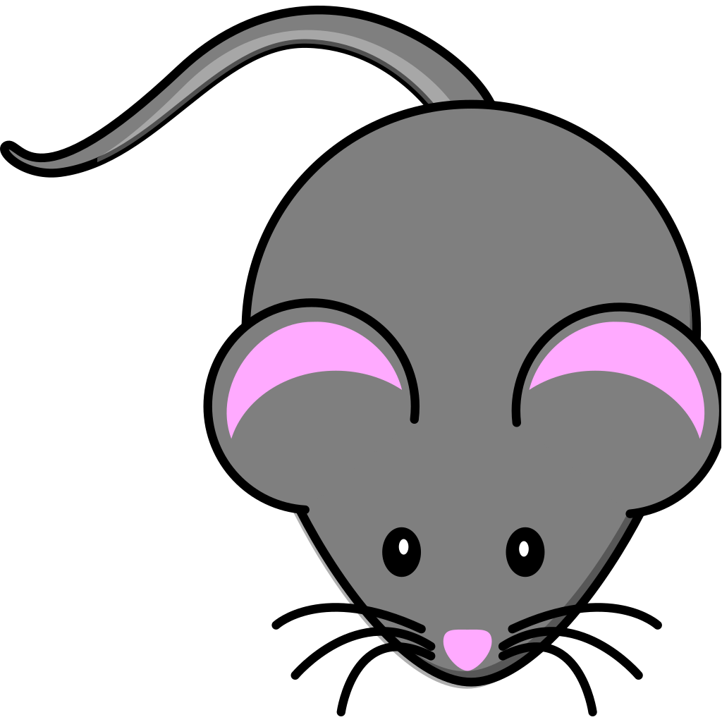 Морда мышки