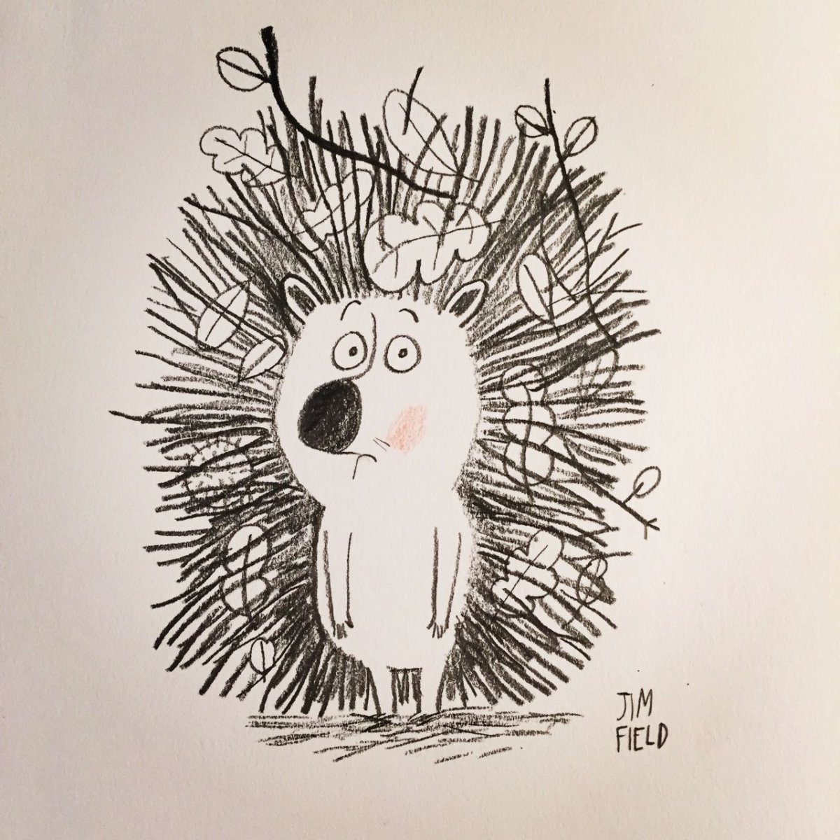 Стилизованные Ёжики