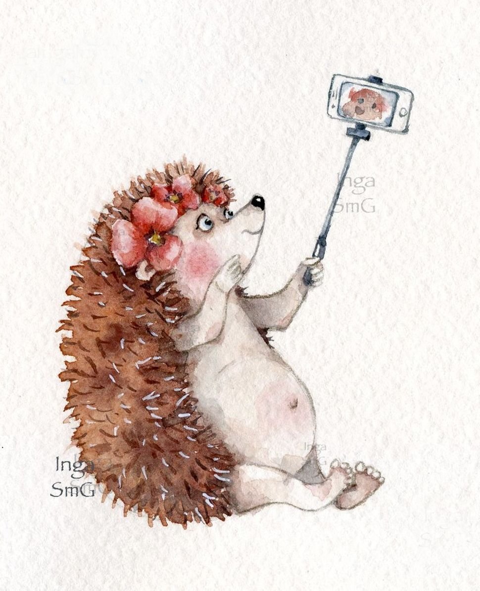 Инга Измайлова иллюстрации ежики