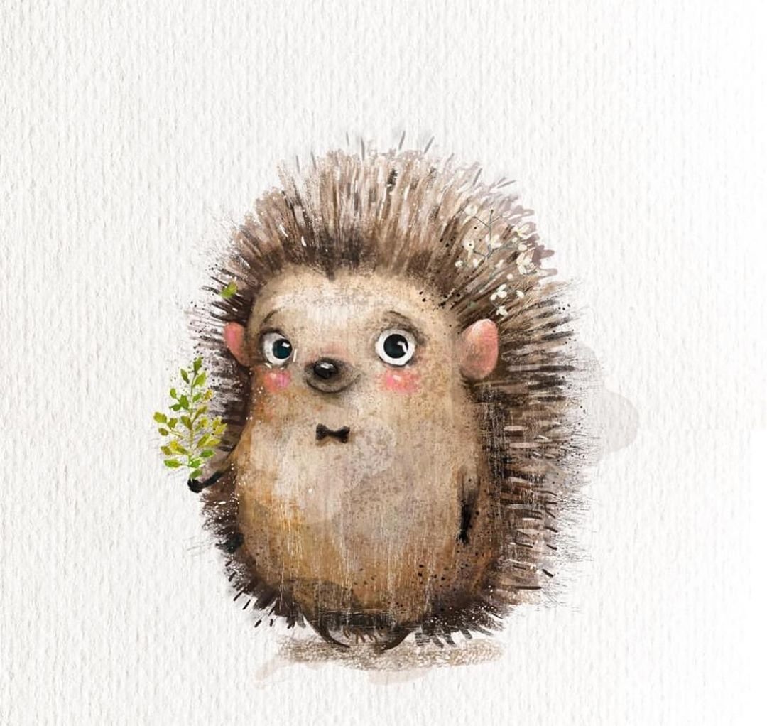 Ева фарб Ежик