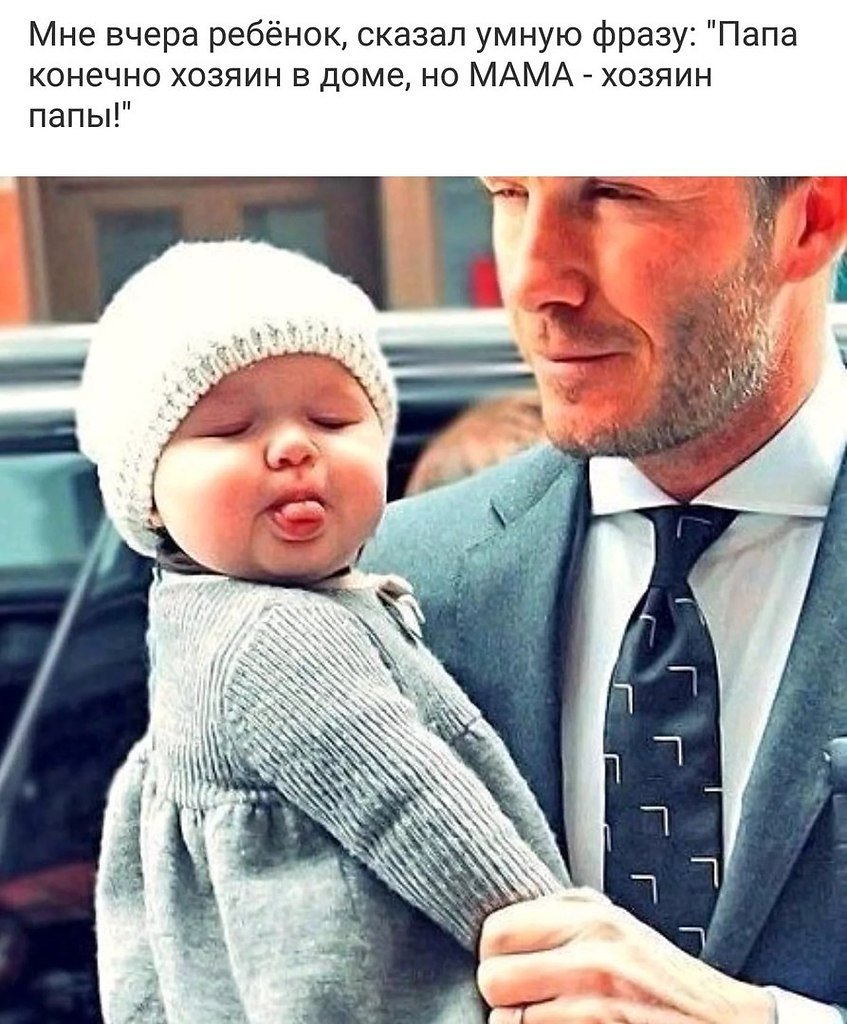 Высказывания про папу