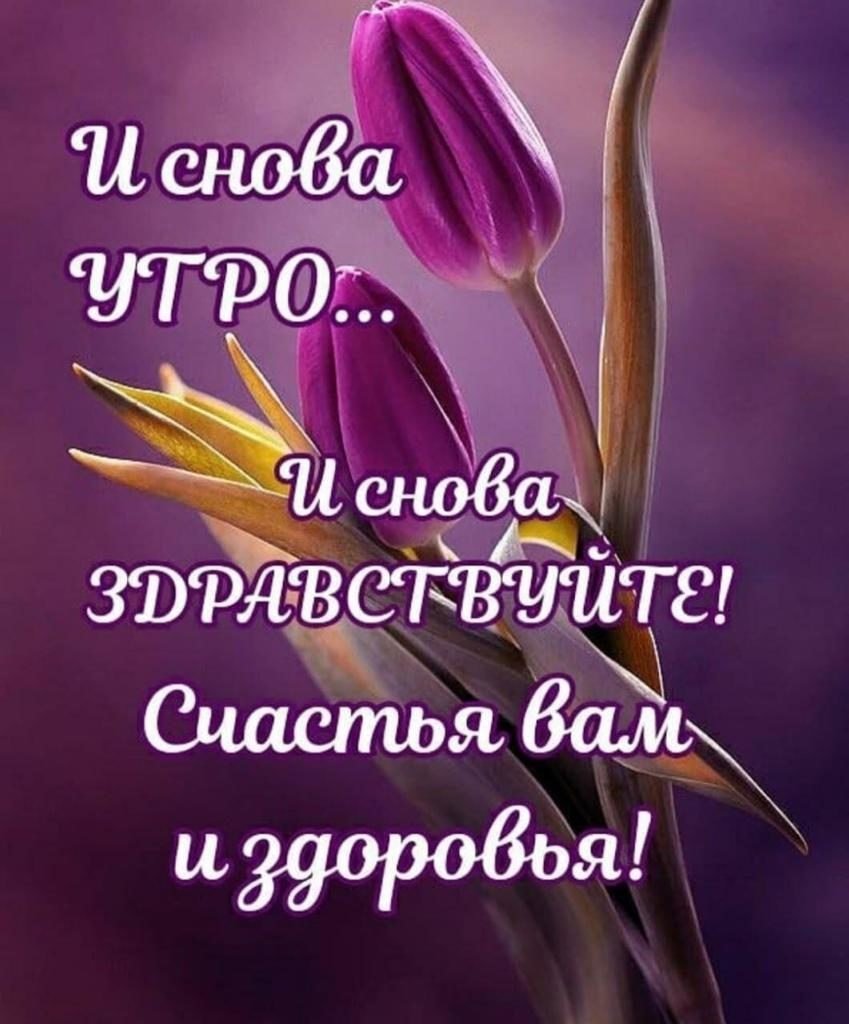 Счастье каждый день