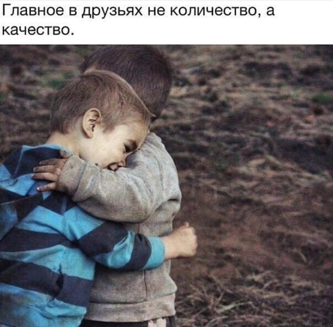 Прощайте друзья