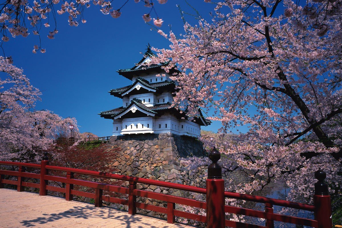 Миядзима Сакура