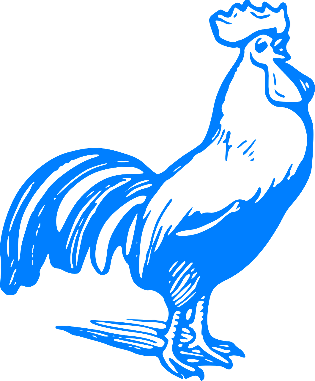 Голубой петух