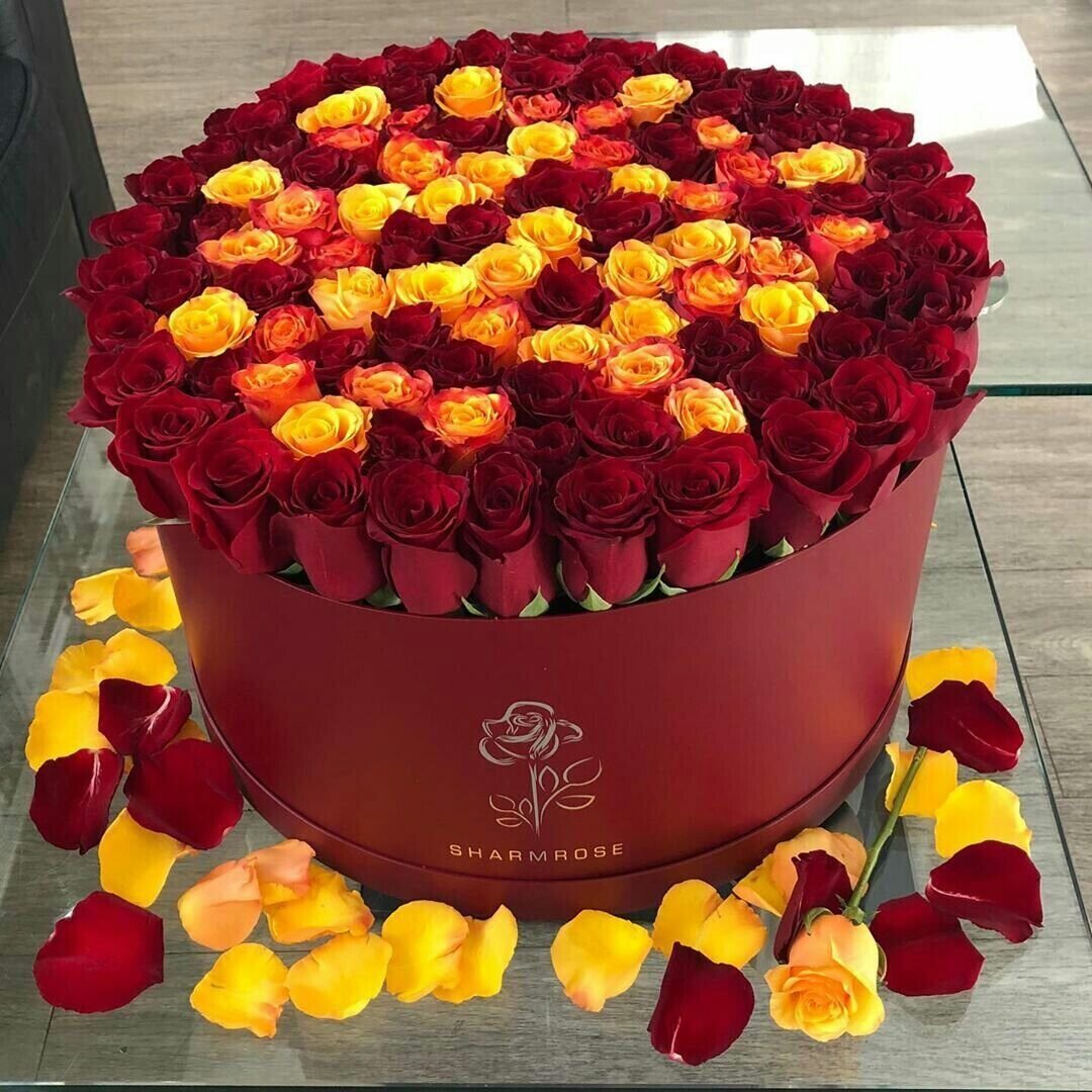 Сдеем рождения подруга