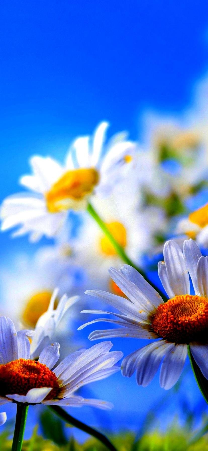 Утро всегда доброе