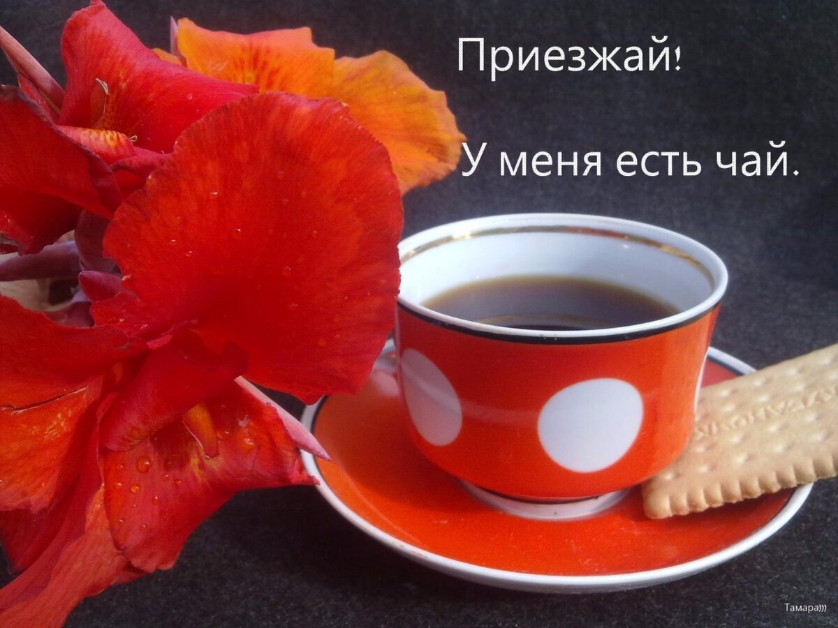 Доброго дня и удачи в делах