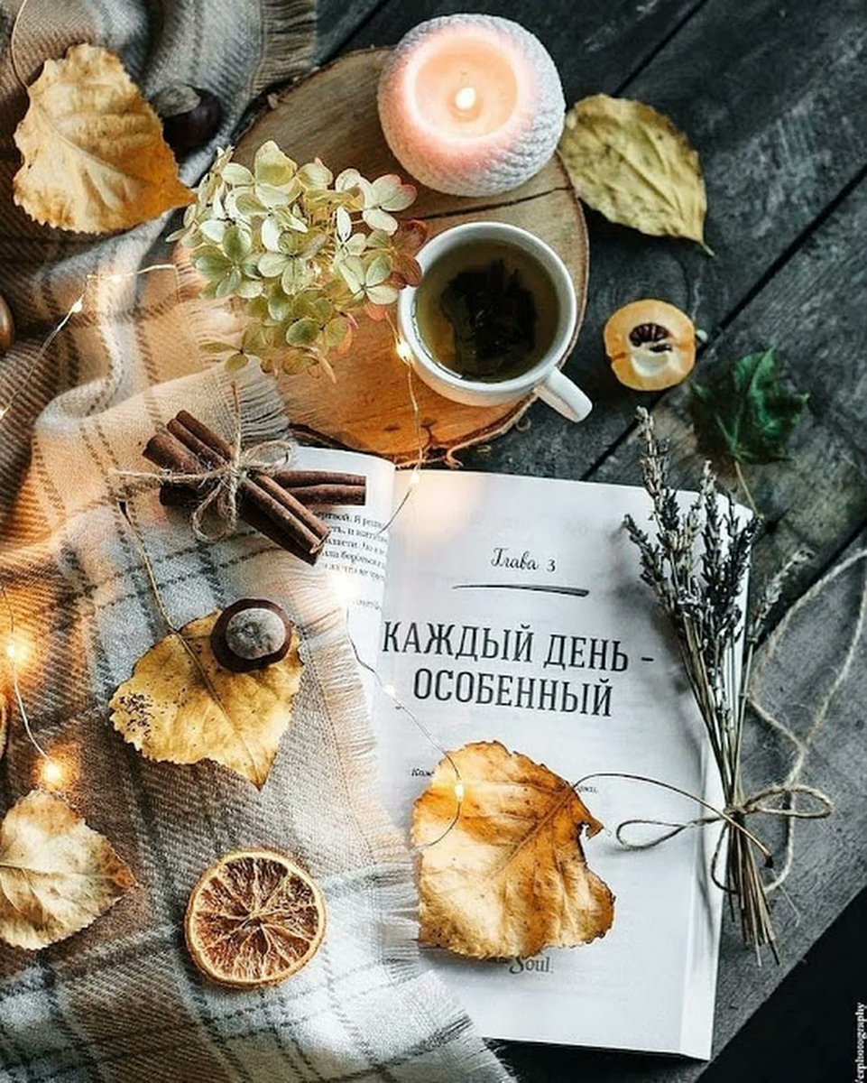 Стильные осенние открытки. Бесплатно.