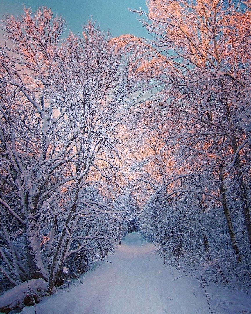 Зимние фотопейзажи