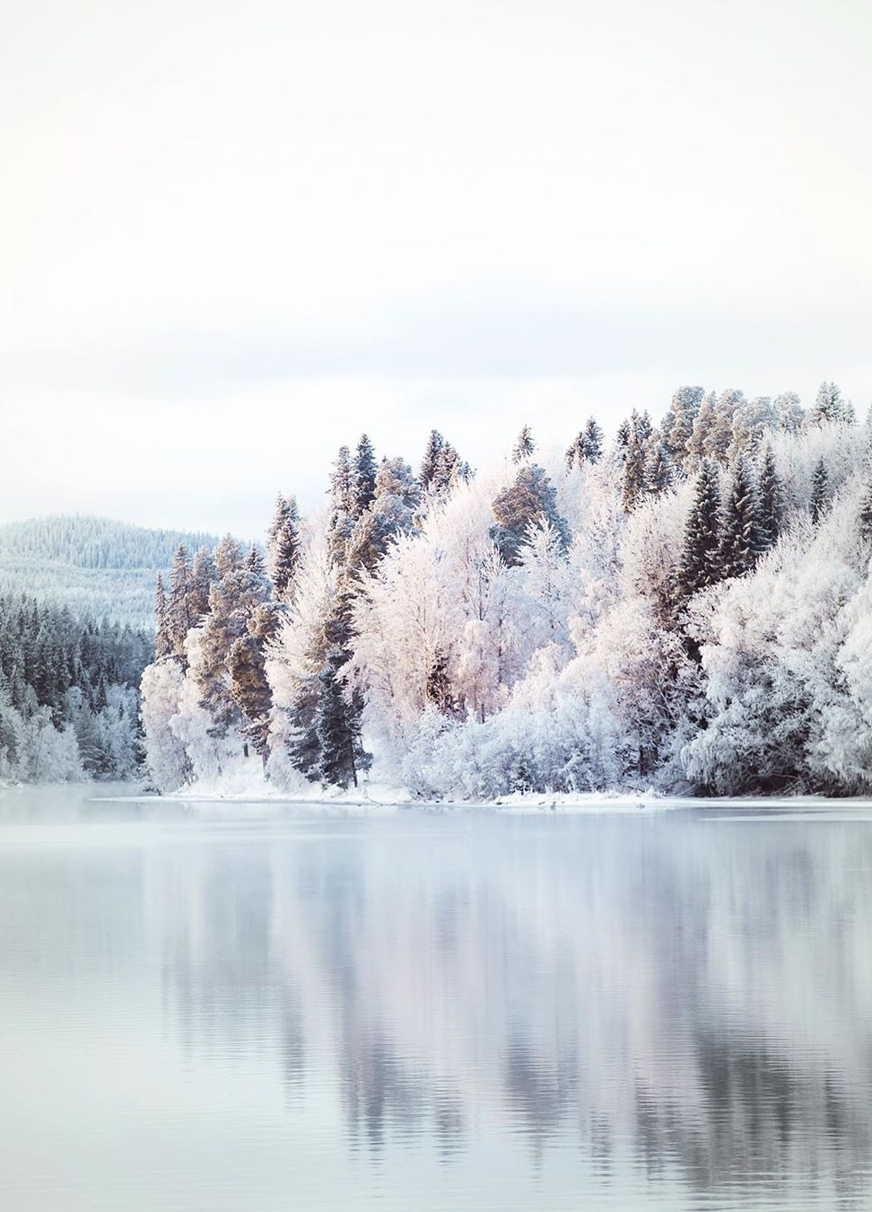 Зима Эстетика