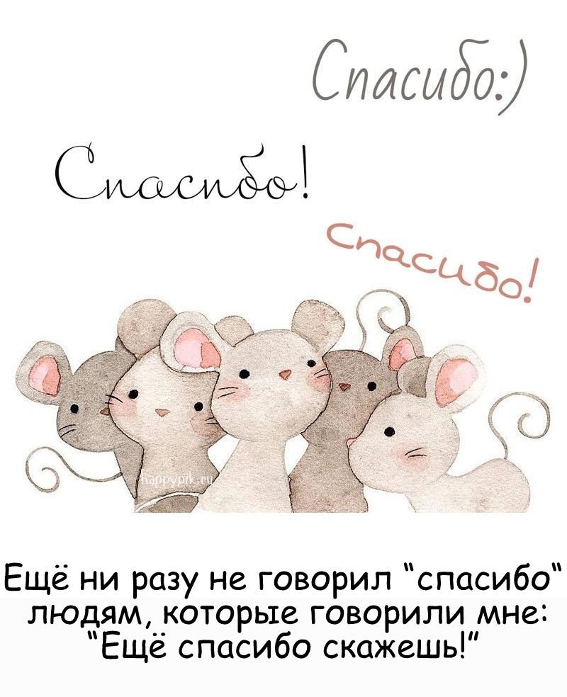 Открытки спасибо большое