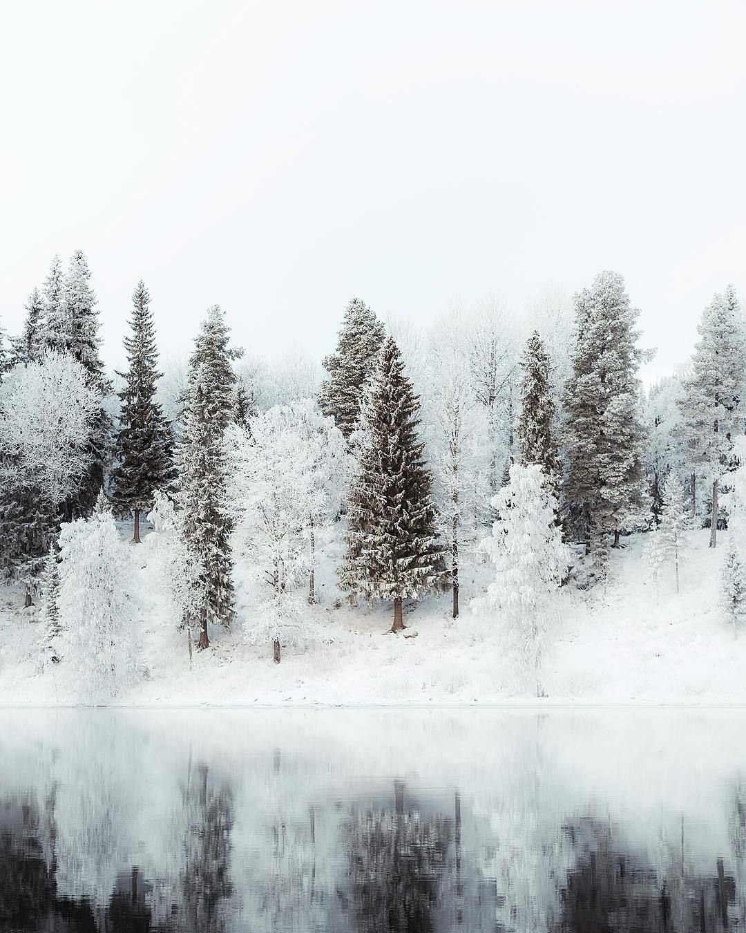 Туман зимой