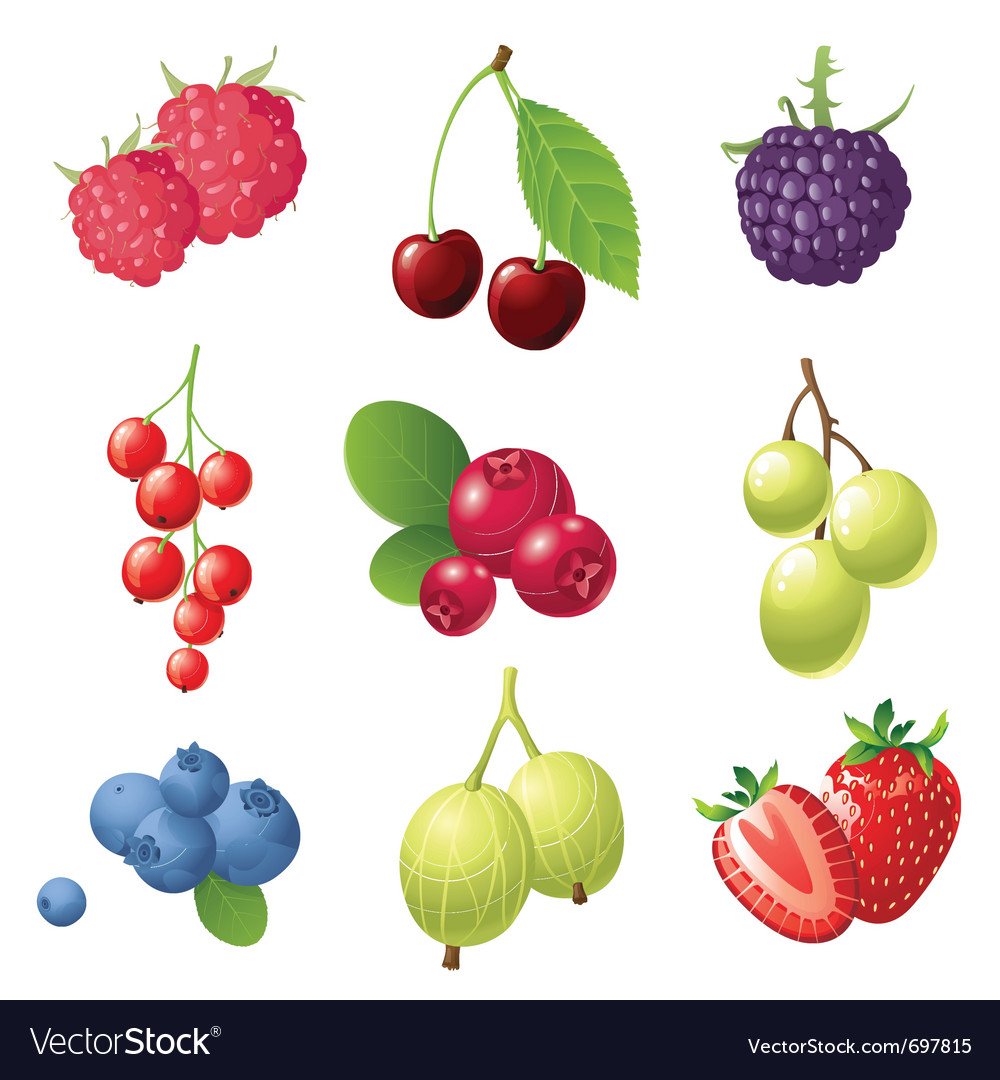 Обобщающие карточки для детей