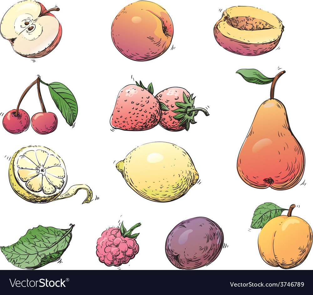 Классификация предметов фрукты