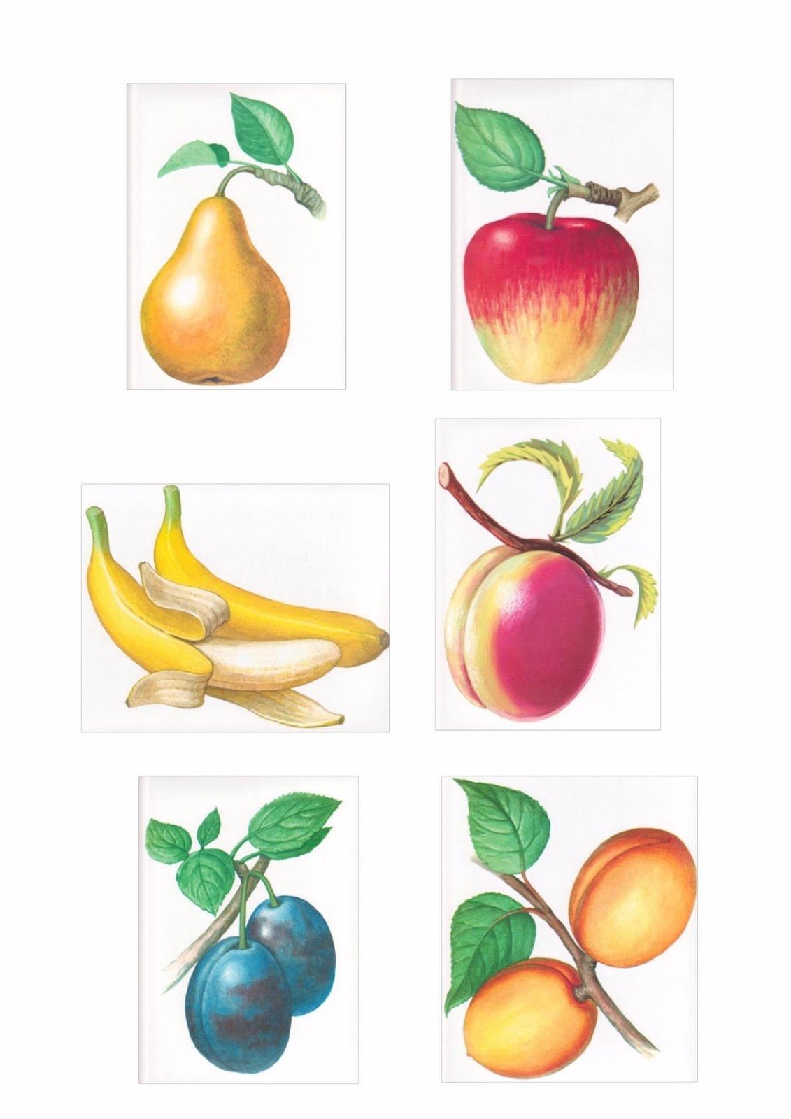 Фрукты для детей развивающие