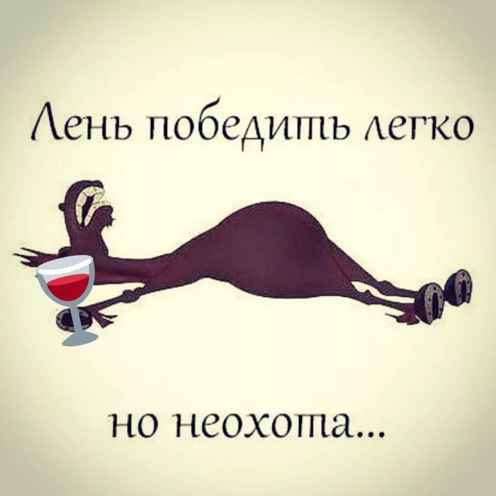 Ленивый день