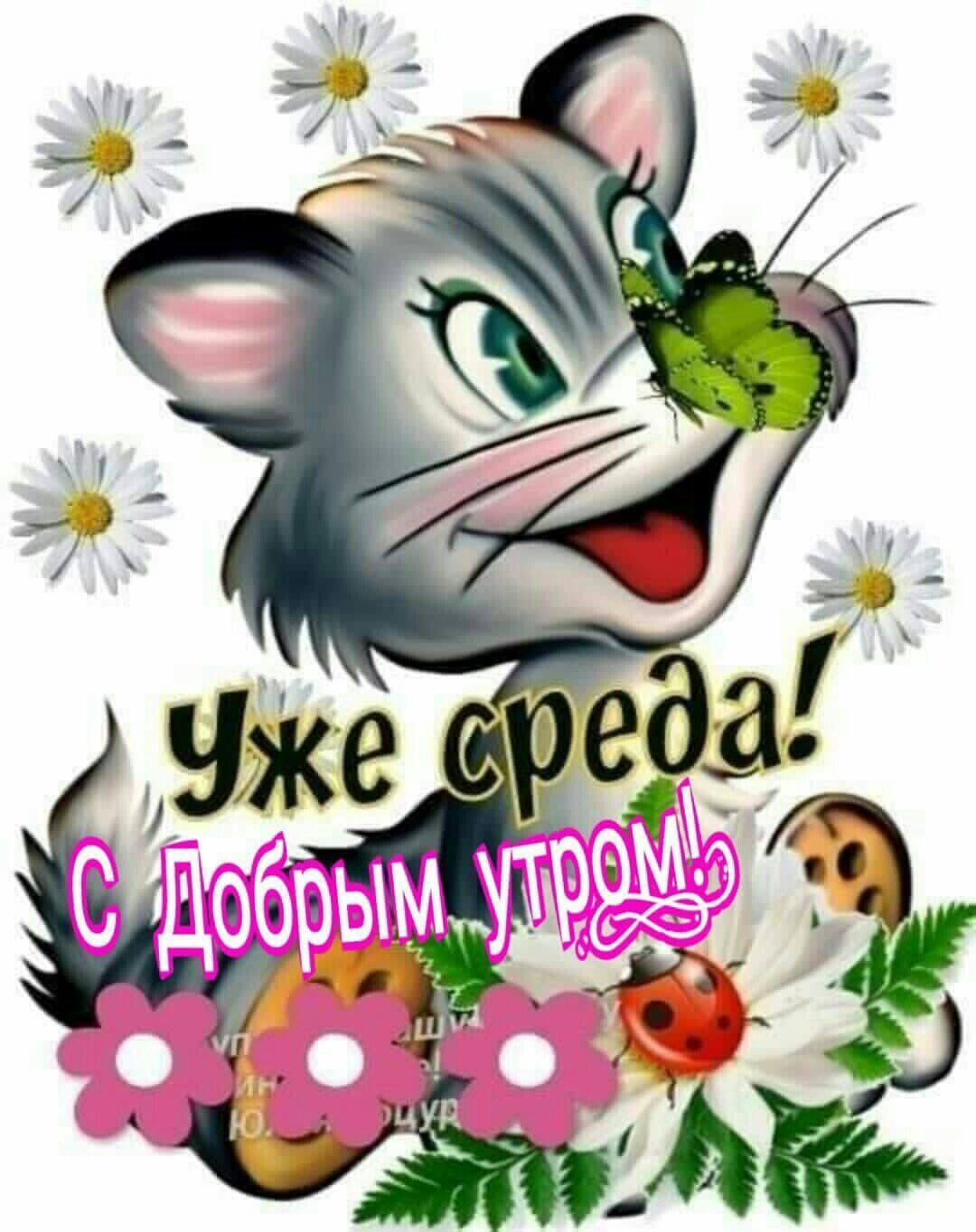 Доброе утро среда прикольные