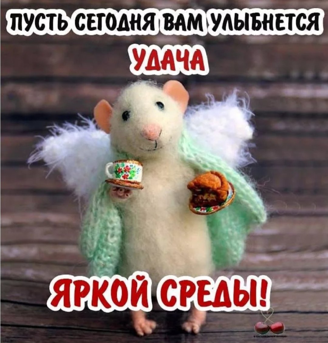 С добрым утром среды