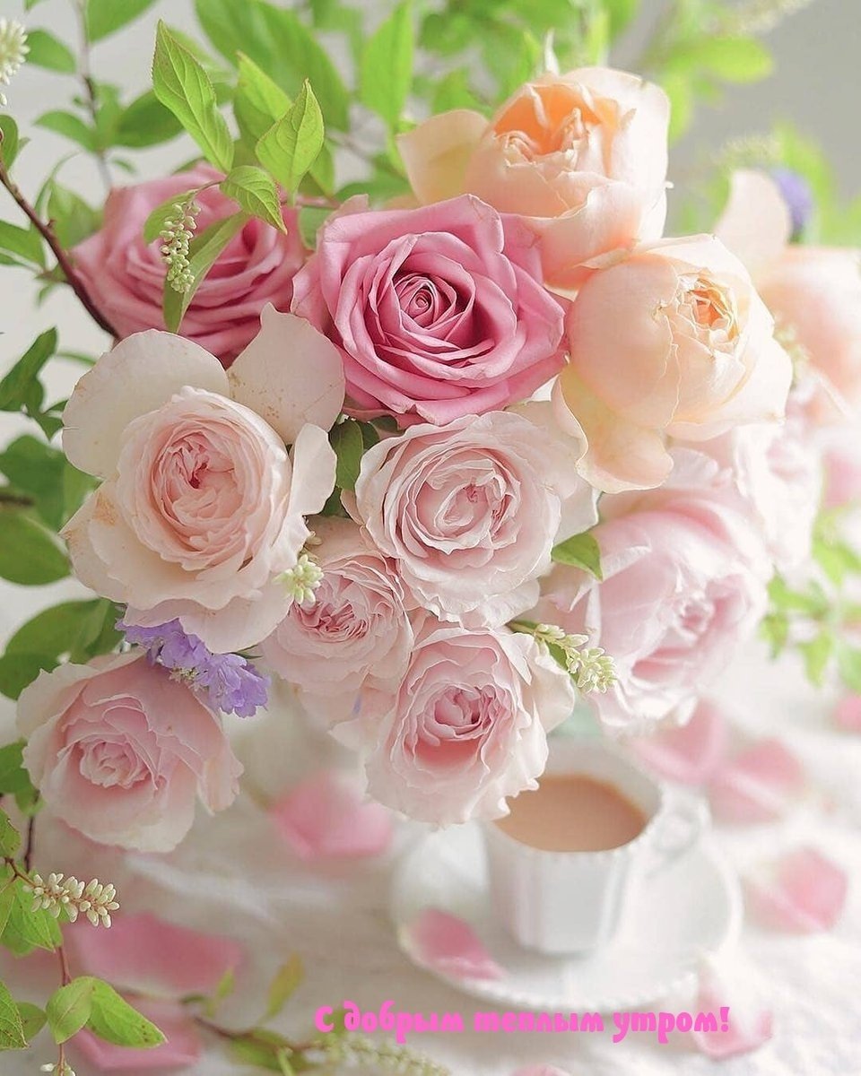 С добрым утром красивые