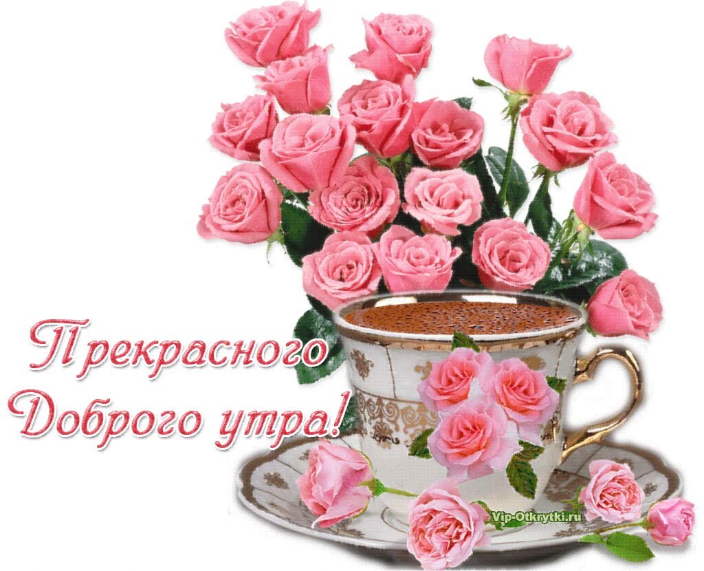 Открытки с добрым утром красивые