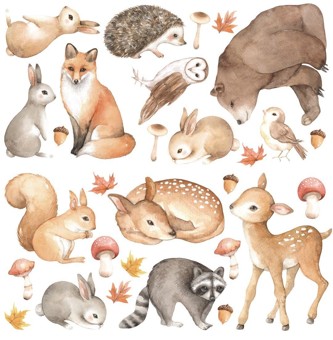 Лесные животные нарисовать