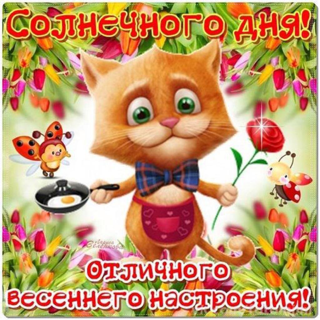 Хорошего дня и отличного настроения прикольные