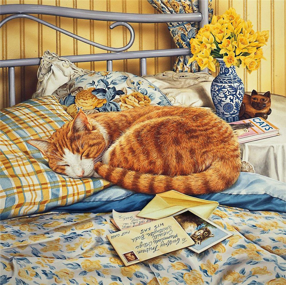 Спящий котенок