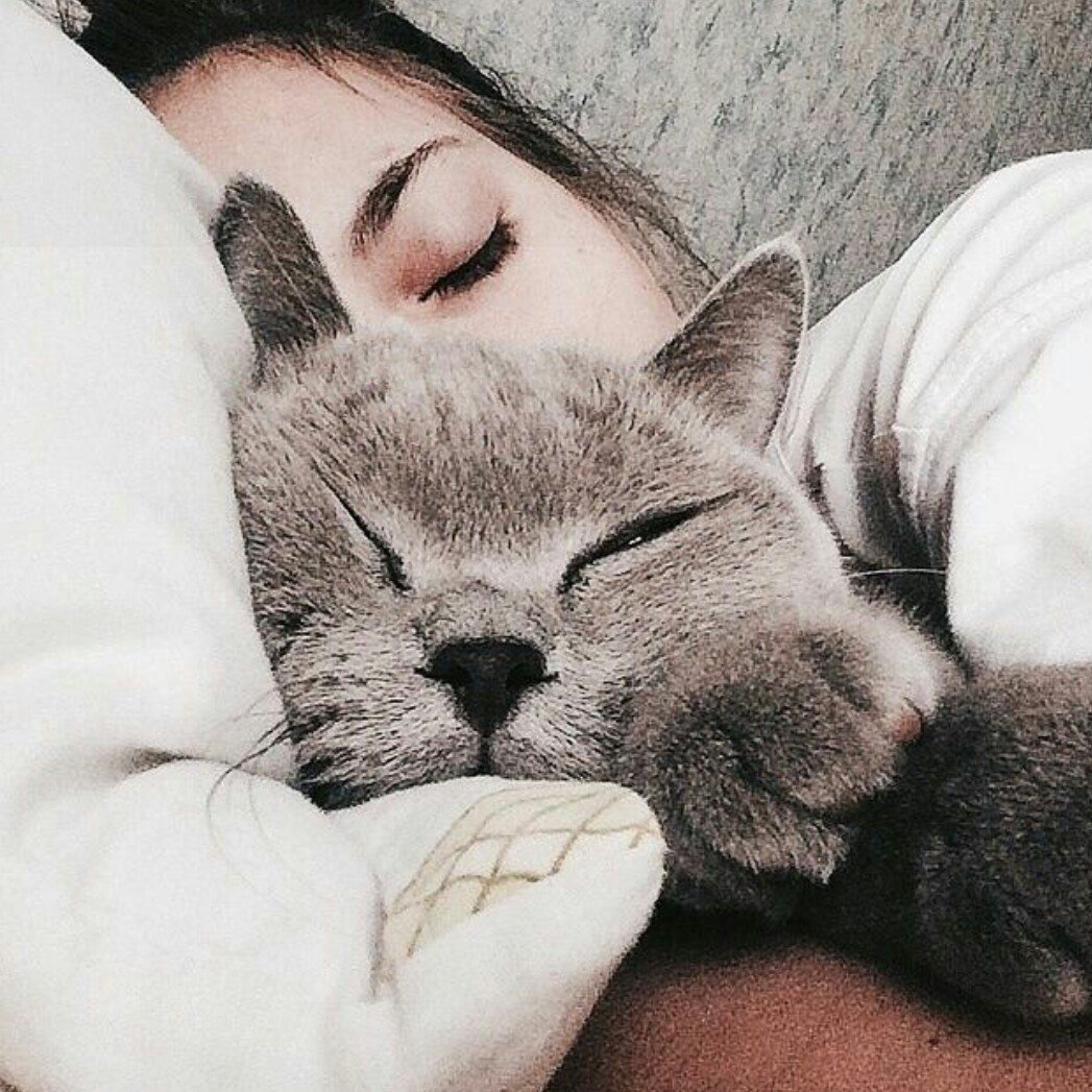 Спокойной ночи на французском языке