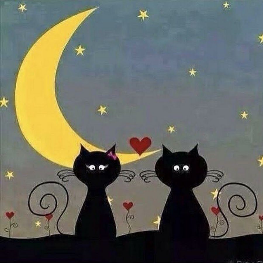 Елизавета Третьякова иллюстратор ночной кот