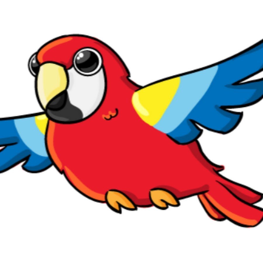 Parrot Flashcard