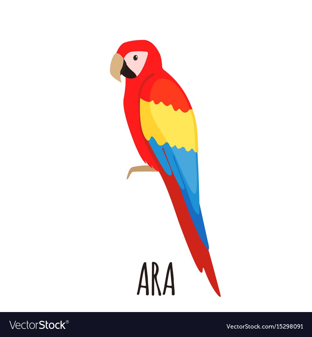 Силуэт попугая для рисования