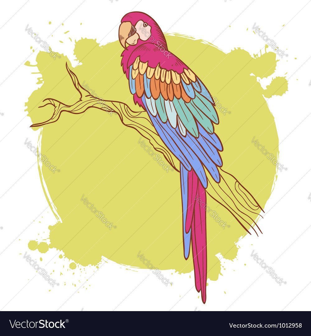 Зеленый попугай мультяшный