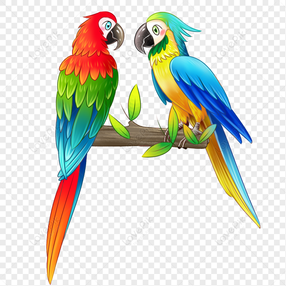 Попугай картинка для детей