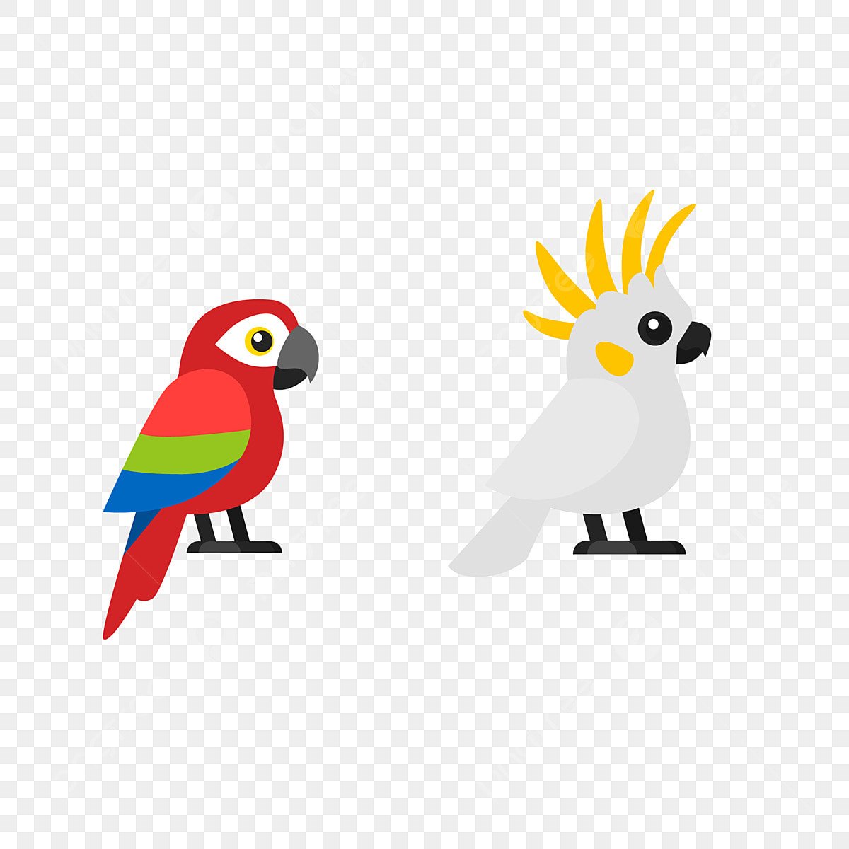 Смайл попугай