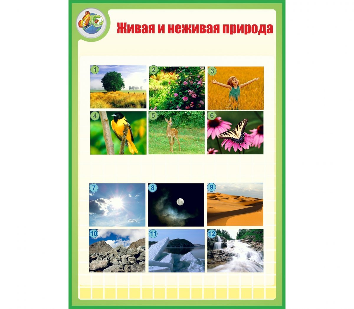 Живая и неживая приролд