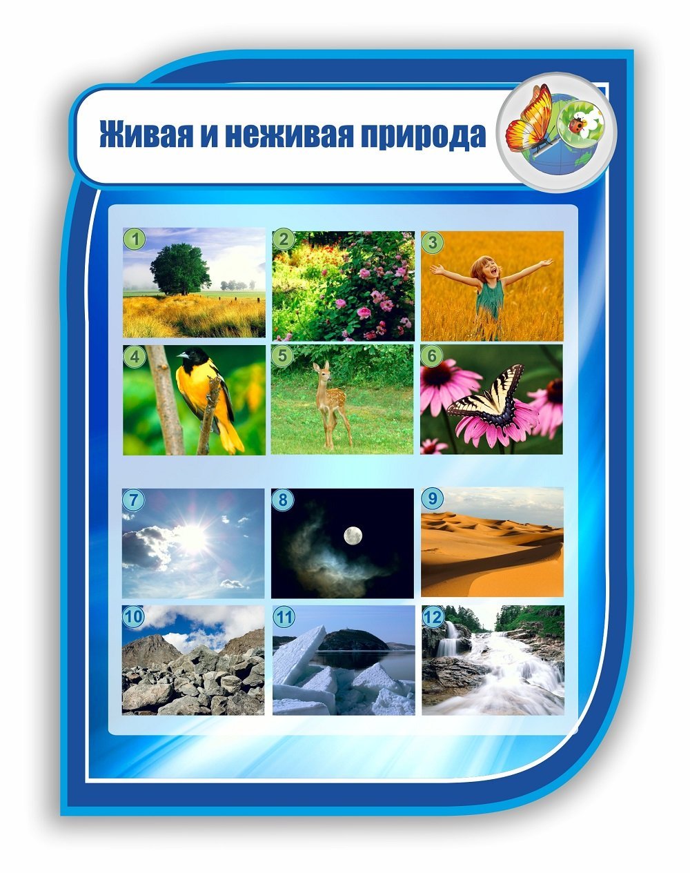 Живое неживое для детей