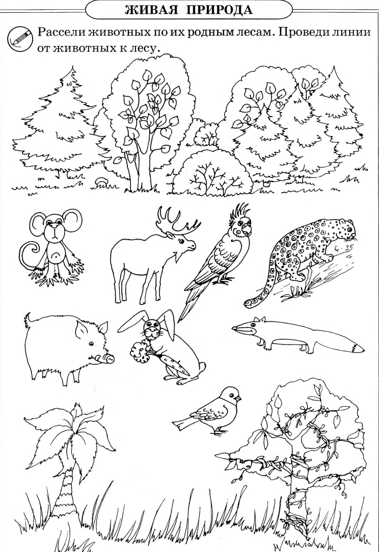 Настольная игра Живая и неживая природа