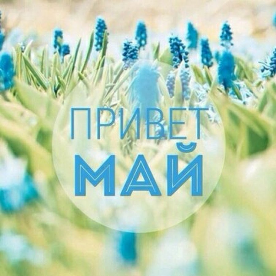 Здравствуй май