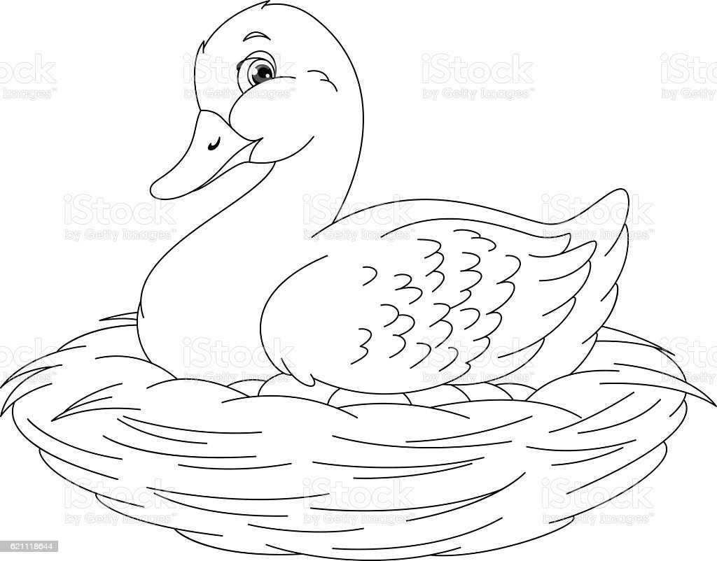 Уточка раскраска для малышей