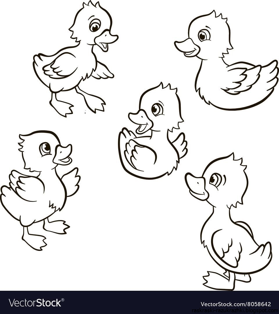 Раскраска уточка