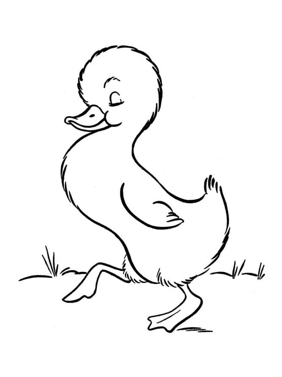 Утка с утятами на озере раскраска для детей