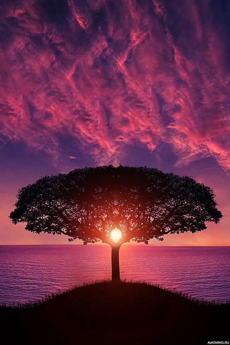 Красивый закат